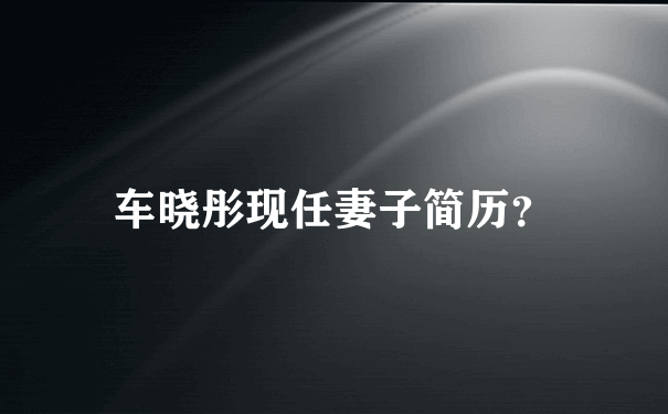 车晓彤现任妻子简历？