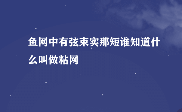 鱼网中有弦束实那短谁知道什么叫做粘网