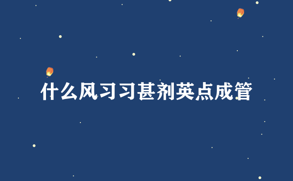 什么风习习甚剂英点成管