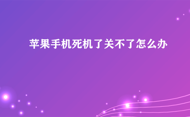 苹果手机死机了关不了怎么办