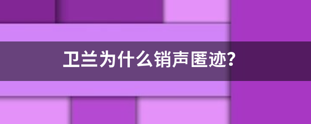 卫兰为什么销声匿迹？