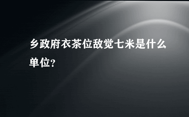 乡政府衣茶位敌觉七米是什么单位？