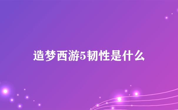 造梦西游5韧性是什么