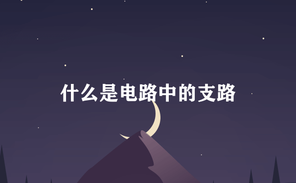 什么是电路中的支路