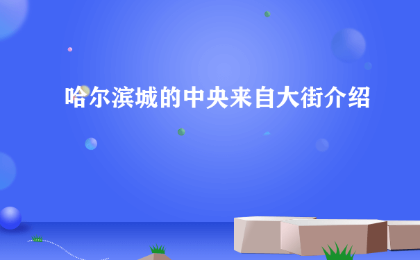 哈尔滨城的中央来自大街介绍