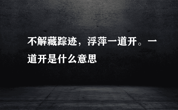 不解藏踪迹，浮萍一道开。一道开是什么意思