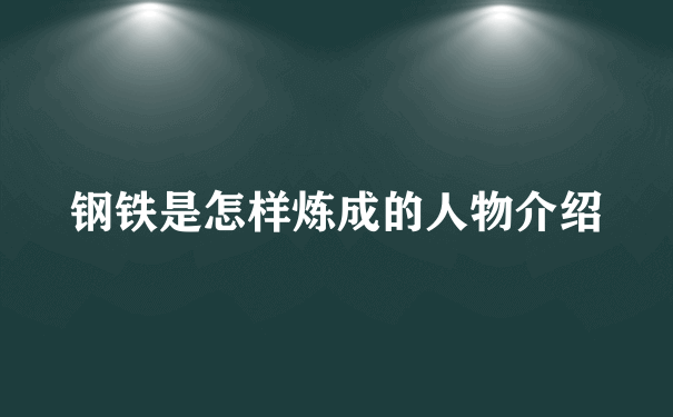 钢铁是怎样炼成的人物介绍