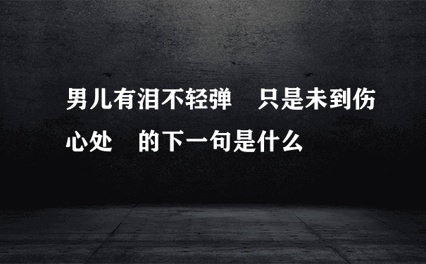 男儿有泪不轻弹 只是未到伤心处 的下一句是什么