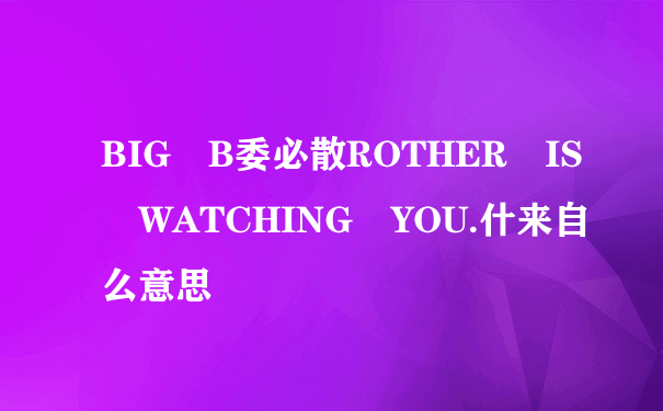 BIG B委必散ROTHER IS WATCHING YOU.什来自么意思