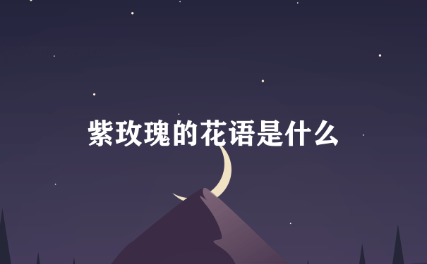 紫玫瑰的花语是什么