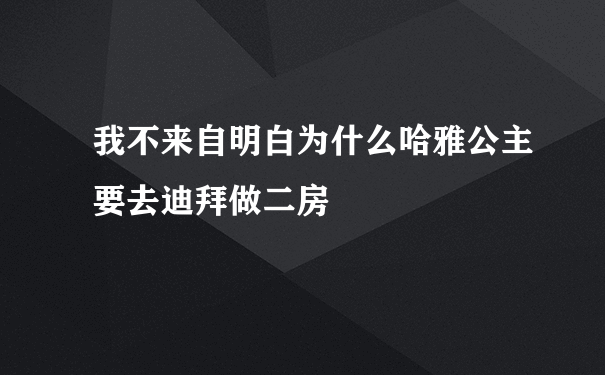 我不来自明白为什么哈雅公主要去迪拜做二房