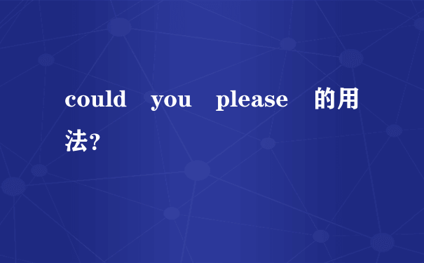 could you please 的用法？