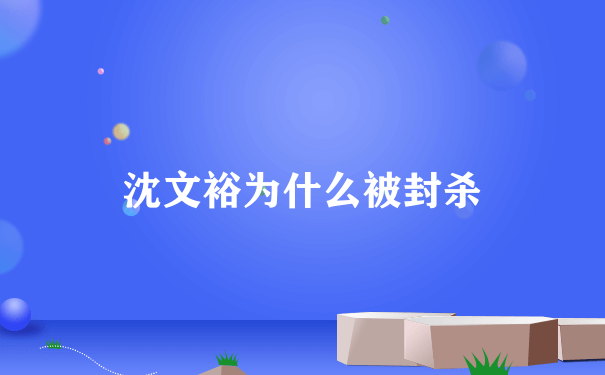 沈文裕为什么被封杀