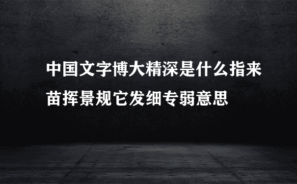 中国文字博大精深是什么指来苗挥景规它发细专弱意思