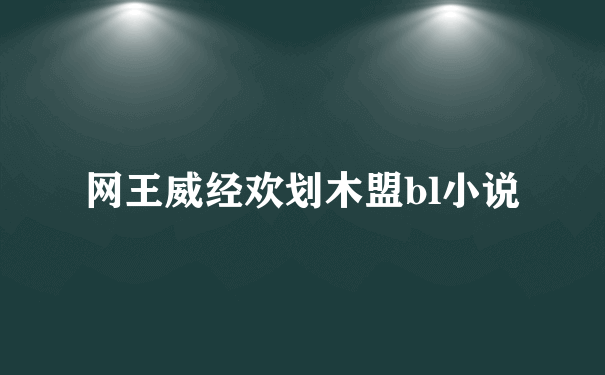 网王威经欢划木盟bl小说