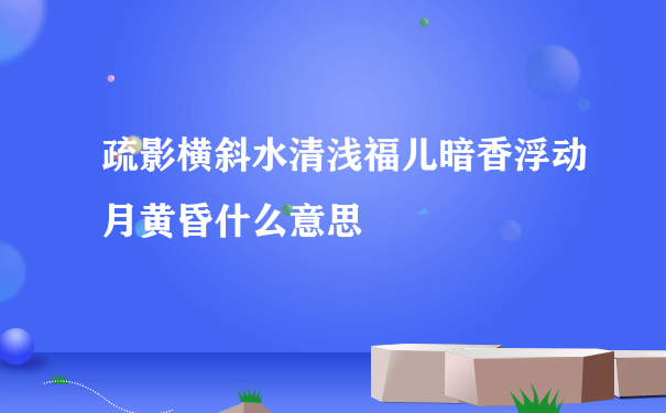 疏影横斜水清浅福儿暗香浮动月黄昏什么意思