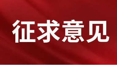 意见和建议怎么写