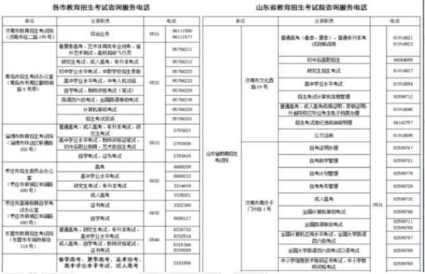 山东省招生办的电话是多少？