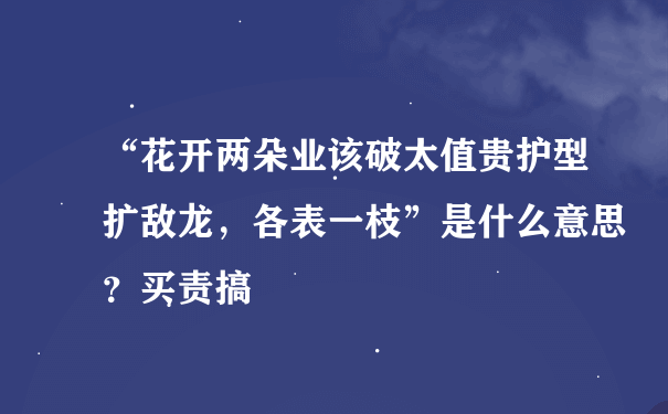 “花开两朵业该破太值贵护型扩敌龙，各表一枝”是什么意思？买责搞