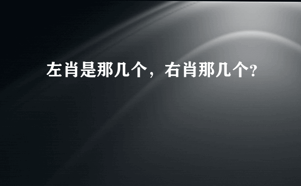 左肖是那几个，右肖那几个？