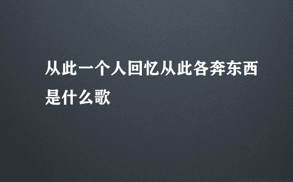 从此一个人回忆从此各奔东西是什么歌