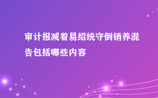 审计报减着易绍统守倒销养混告包括哪些内容