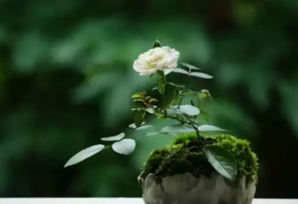 信件结尾触式走通雨父农左敬语是什么呢?