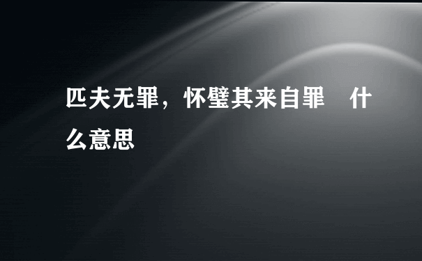 匹夫无罪，怀璧其来自罪 什么意思