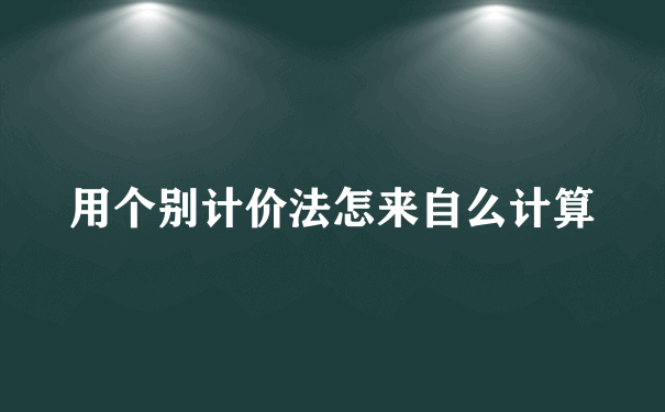 用个别计价法怎来自么计算