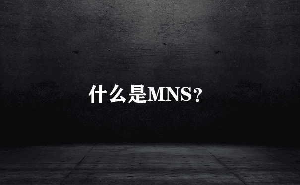 什么是MNS？