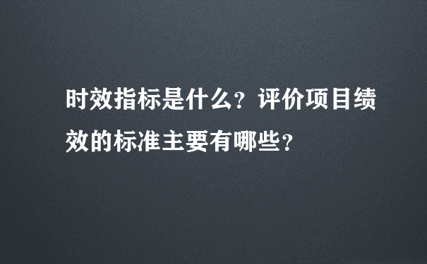 时效指标是什么？评价项目绩效的标准主要有哪些？