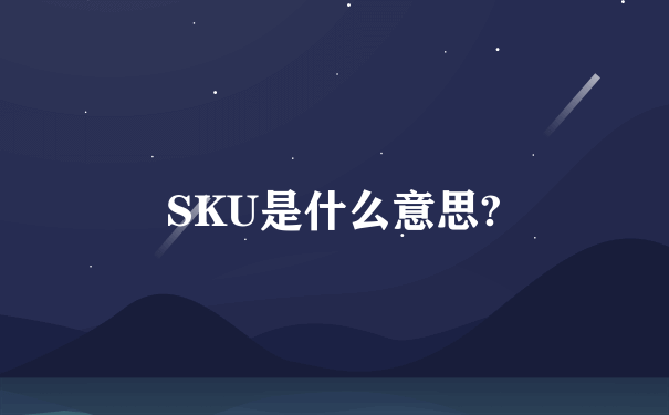 SKU是什么意思?