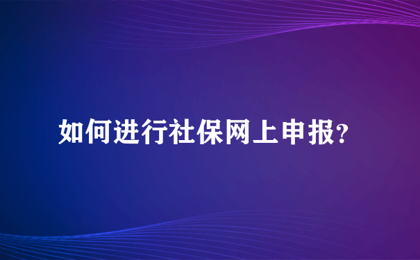 如何进行社保网上申报？