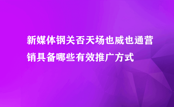 新媒体钢关否天场也威也通营销具备哪些有效推广方式