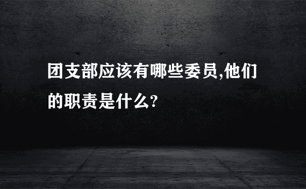 团支部应该有哪些委员,他们的职责是什么?