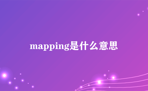 mapping是什么意思