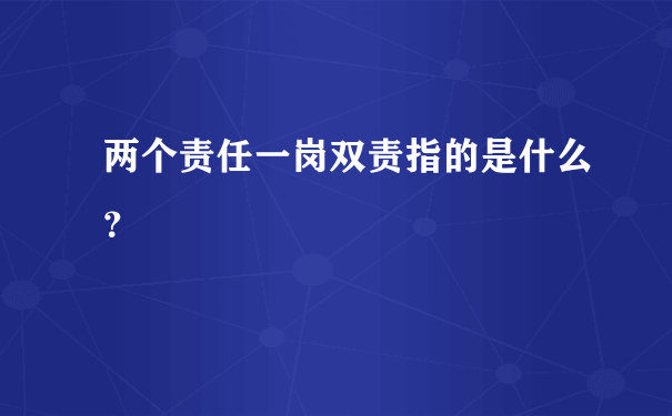 两个责任一岗双责指的是什么？