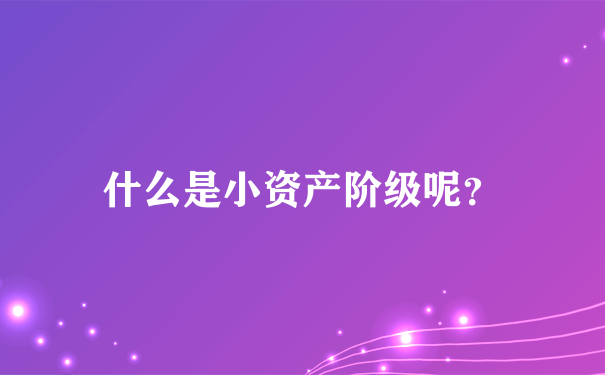 什么是小资产阶级呢？