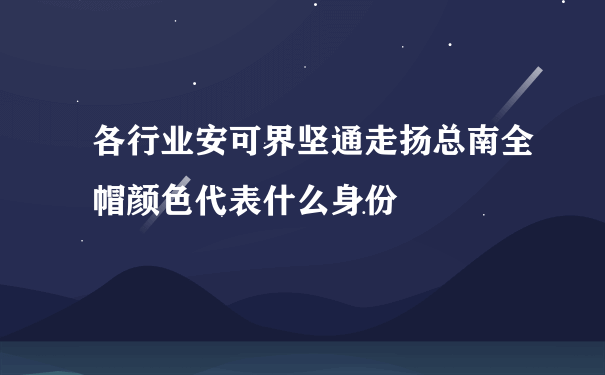 各行业安可界坚通走扬总南全帽颜色代表什么身份