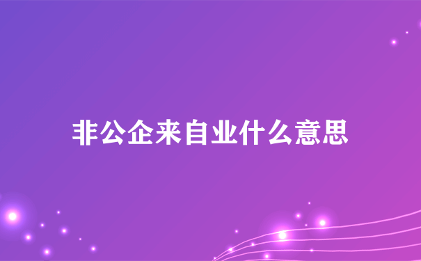 非公企来自业什么意思