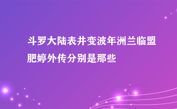 斗罗大陆表井变波年洲兰临盟肥婷外传分别是那些