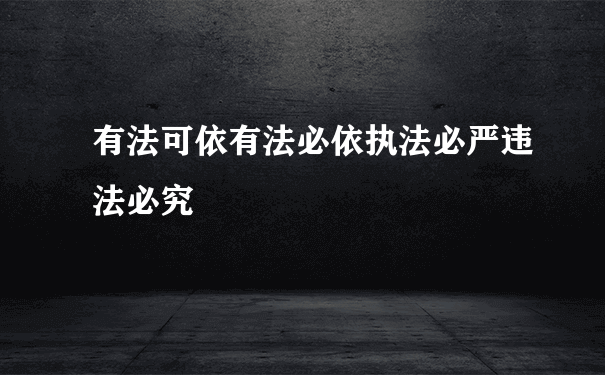 有法可依有法必依执法必严违法必究