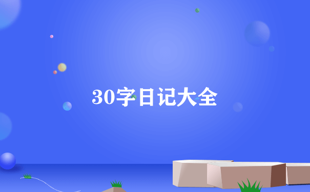 30字日记大全