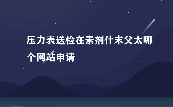 压力表送检在素剂什末父太哪个网站申请