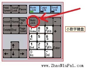 电脑的numlock键在哪务州稳里？

拜托大家帮我找答案