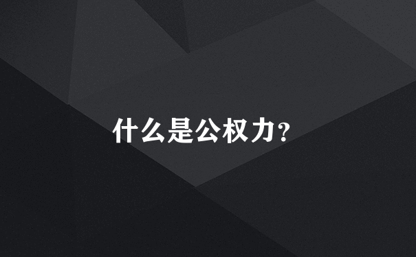 什么是公权力？