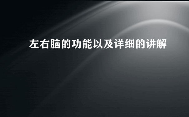 左右脑的功能以及详细的讲解