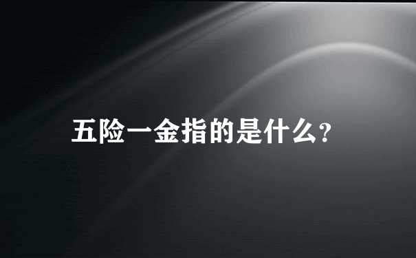 五险一金指的是什么？