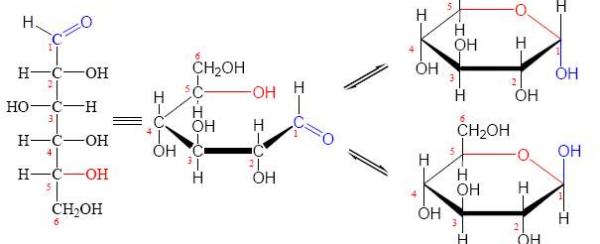 l-(-)-葡萄糖结构式