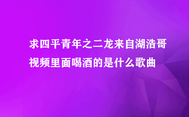 求四平青年之二龙来自湖浩哥视频里面喝酒的是什么歌曲